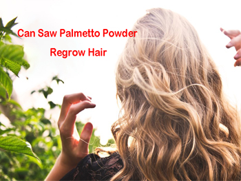 Can Saw Palmetto Powder Regrow Hair?